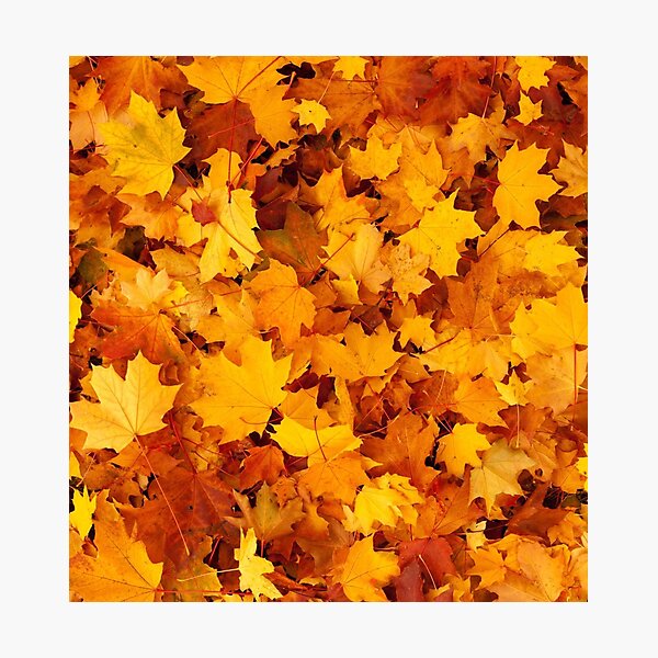 Item preview, Autumn Leaves Relaxing Landscape designed and sold by Luckyart5.