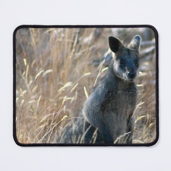 Item preview, Wallaby In Morning Light designed and sold by WendyJC.