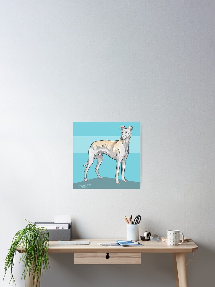 galgo italiano cervatillo azul