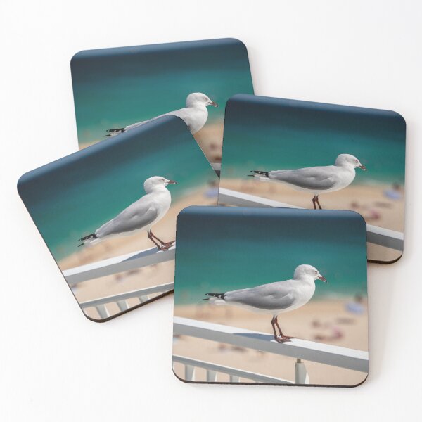 Item preview, Beachside Seagull in Western Australia designed and sold by Michael Heritage.