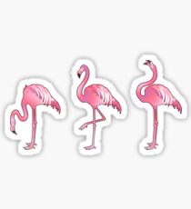 Cute graphic flamingo Sticker