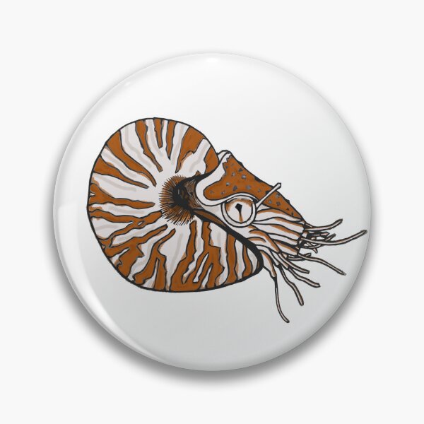 Item preview, Curious cephalopod designed and sold by paw-sci.