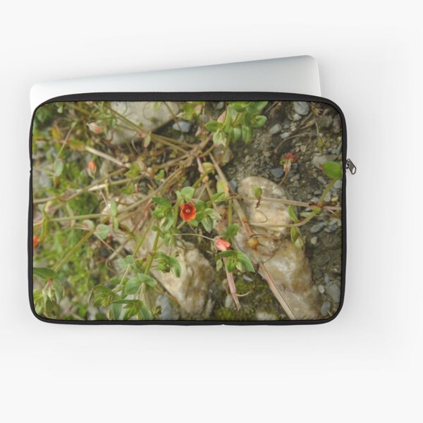 Laptop Sleeve