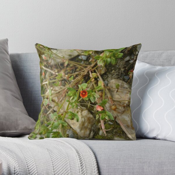 Throw Pillow