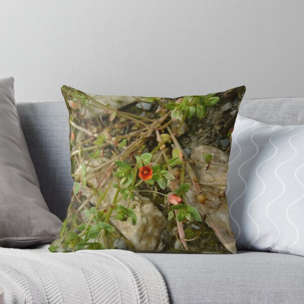 Item preview, Scarlet pimpernel designed and sold by IOMWildFlowers.