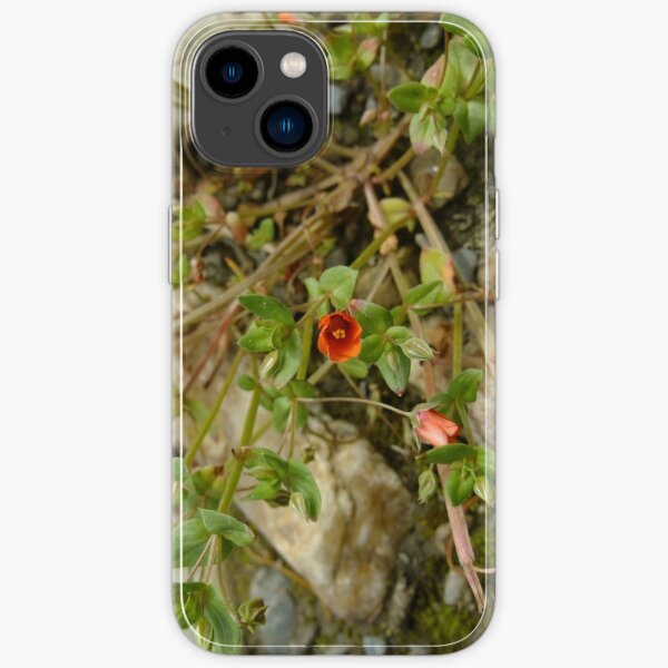 iPhone 14 - Soft
