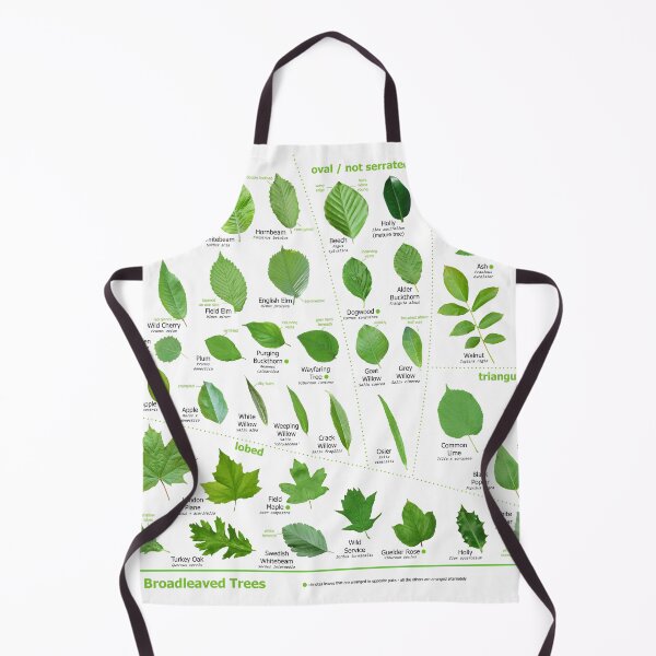 Item preview, Leaves of British Trees - identification poster designed and sold by Micro-cosmic.