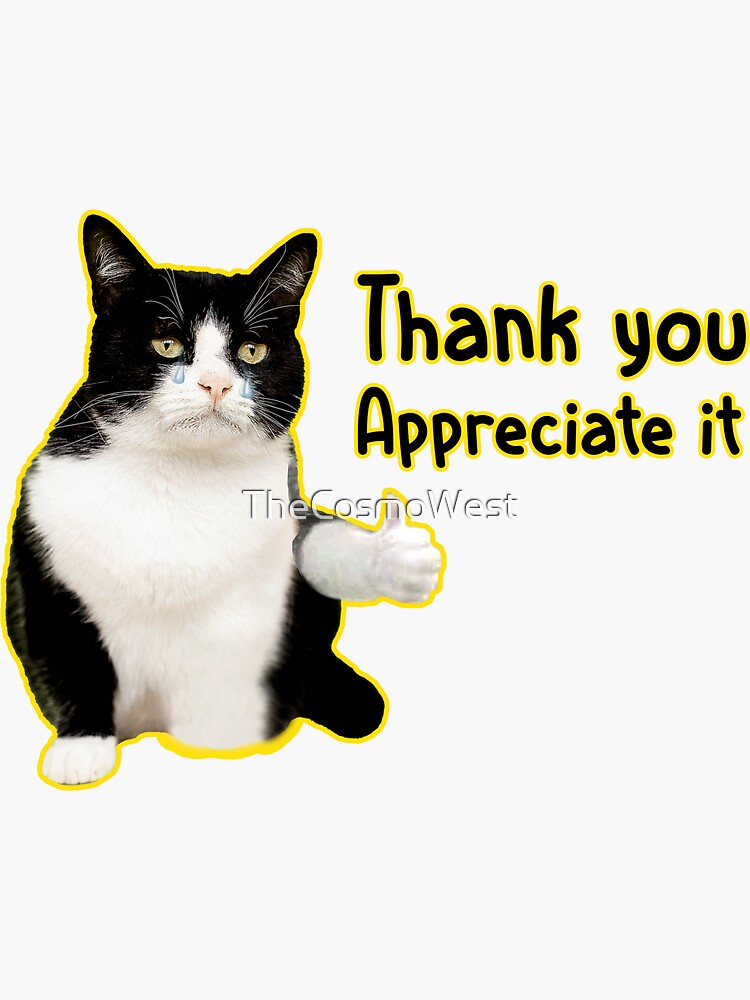 Sad Cat Meme Thumbs up With Heart Good Job Cat Sticker Cat Meme Sticker,  Sad Cat Meme, Cat Water Bottle Sticker, Cat Laptop Vinyl Stickers 