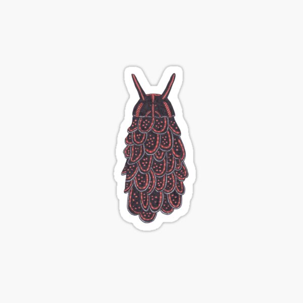 Cyerce nigricans Sticker