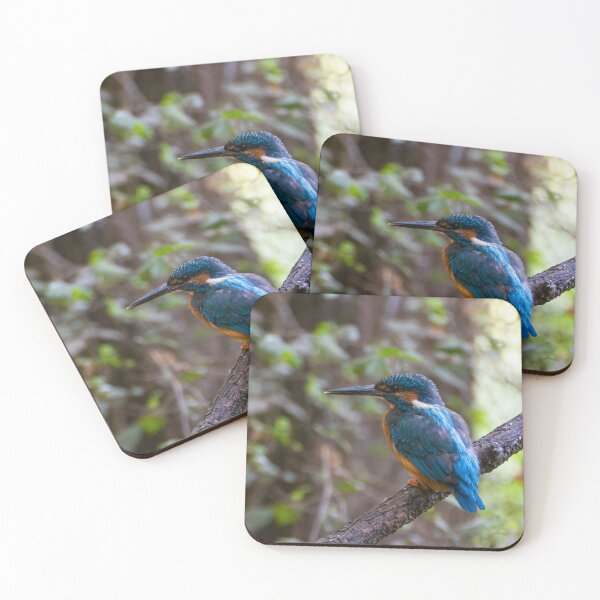 Item preview, Kingfisher designed and sold by pietrofoto.