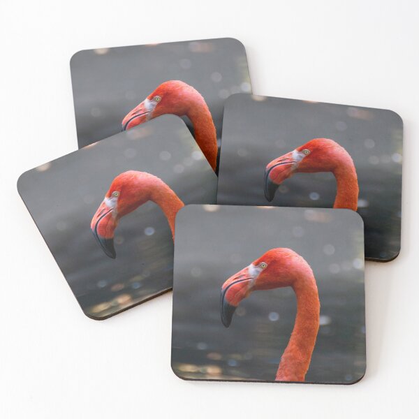 Item preview, American flamingo designed and sold by pietrofoto.