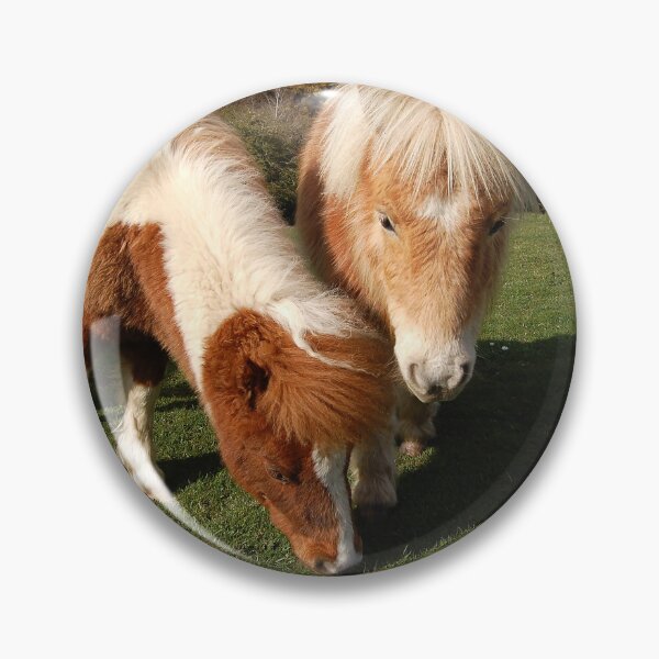 Artikelvorschau, Dartmoor-Ponys entworfen und verkauft von hawkie.