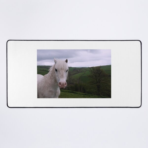 Item preview, Tis a pony designed and sold by hawkie.