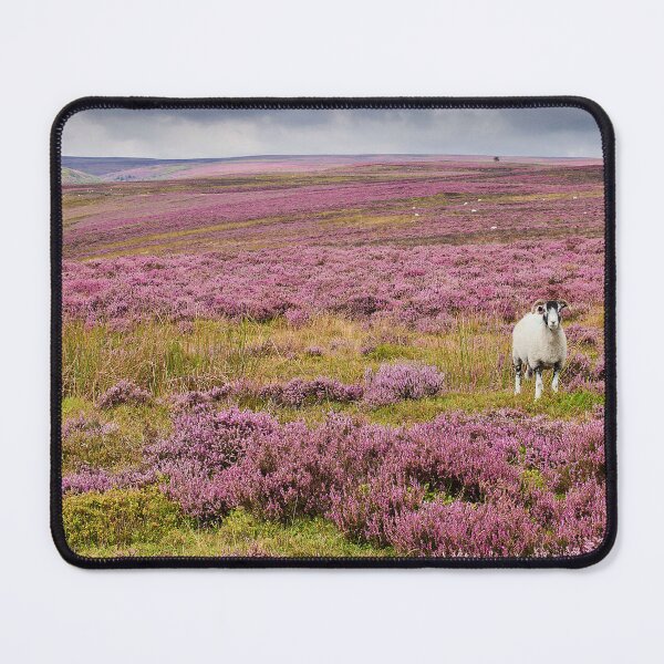 Item preview, Yorkshire Heather designed and sold by maureen bracewell.