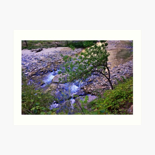 River Glow Art Print