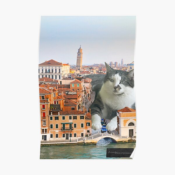 Gracie Cat Does Italy Poster