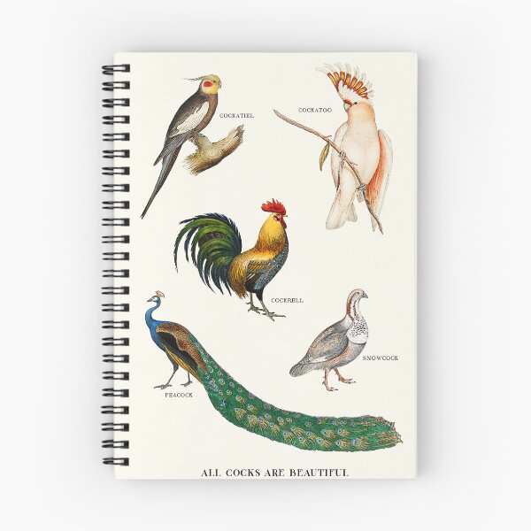 Item preview, All Cocks Are Beautiful designed and sold by JonasLoose.