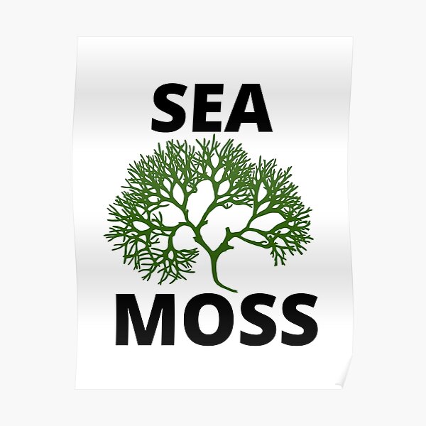 "Sea Moss ,Irish Moss" Poster for Sale by WeGotThat Redbubble