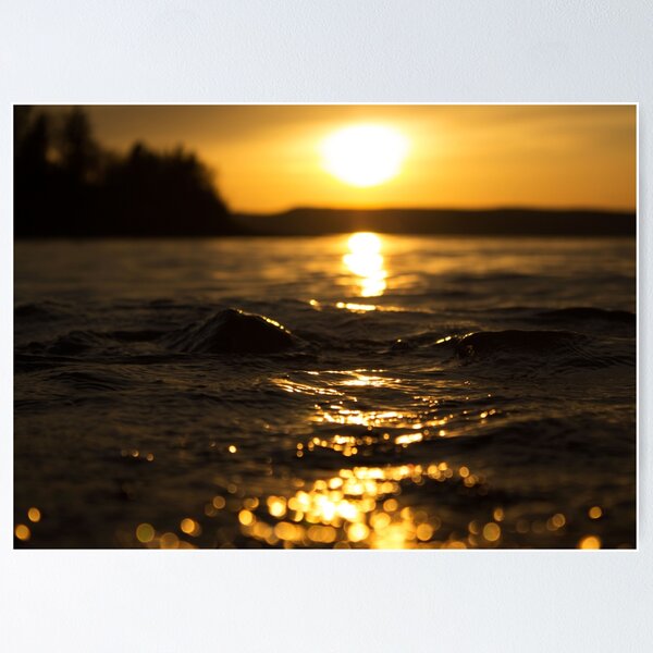 Golden Sunset Close-Up Poster