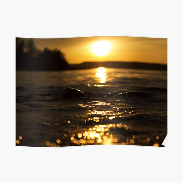 Golden Sunset Close-Up Poster