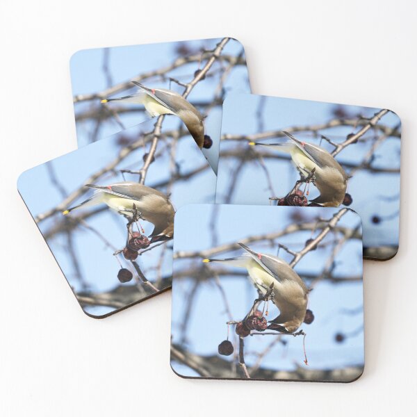 Item preview, Upside Down designed and sold by Mooretography.
