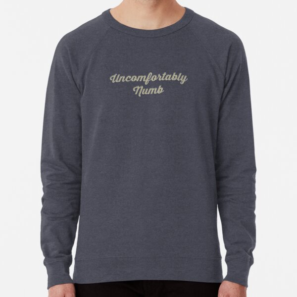 Uncomfortably Numb (Unbranded) Lightweight Sweatshirt