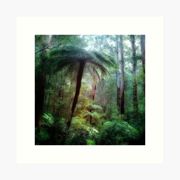 Item preview, Dandenong Ranges designed and sold by Ern Mainka.
