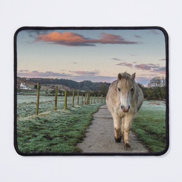 Item preview, The Pony Trail designed and sold by Jinxyboy1908.