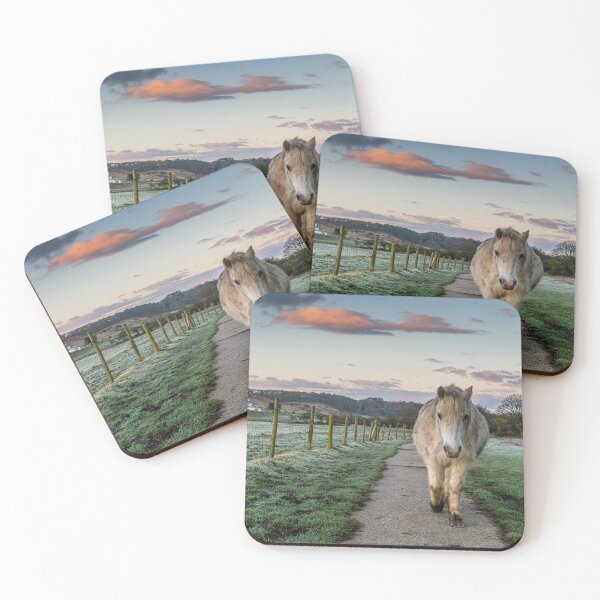 Item preview, The Pony Trail designed and sold by Jinxyboy1908.