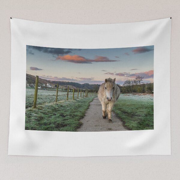 Item preview, The Pony Trail designed and sold by Jinxyboy1908.