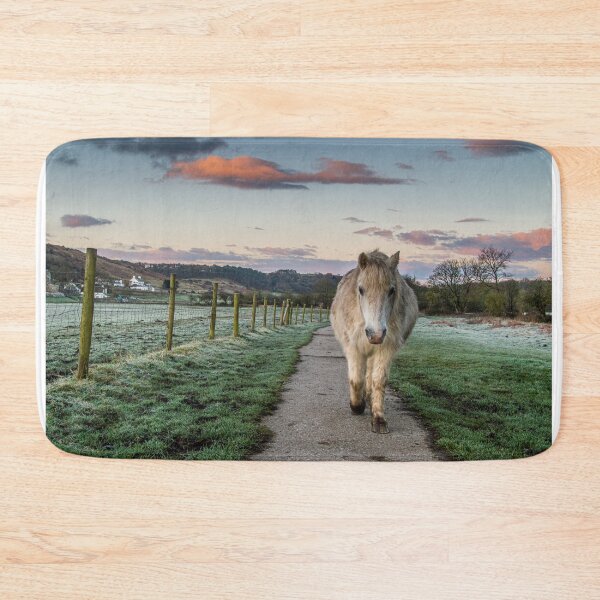 Item preview, The Pony Trail designed and sold by Jinxyboy1908.