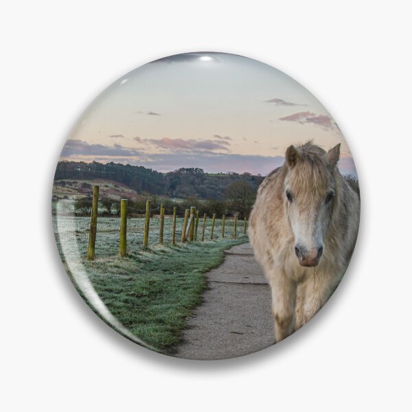 Item preview, The Pony Trail designed and sold by Jinxyboy1908.