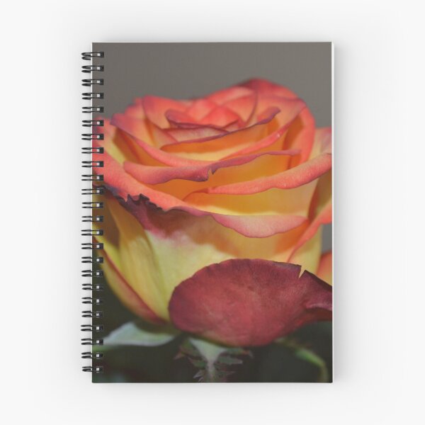 Artikelvorschau, Eine Rose entworfen und verkauft von dmacneil.
