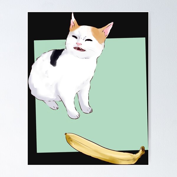 Angry cat no banana meme calico kitty hate yellow fruit - Angry