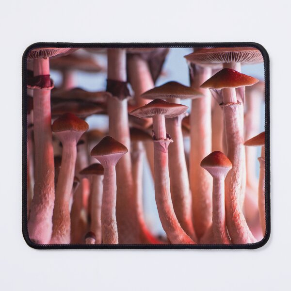 Item preview, Magic Mushrooms designed and sold by GaliYoga.