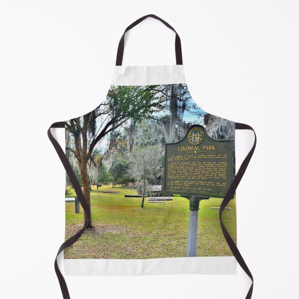 Item preview, Colonial Park Cemetery Savannah Georgia designed and sold by LisaWootenPhoto.