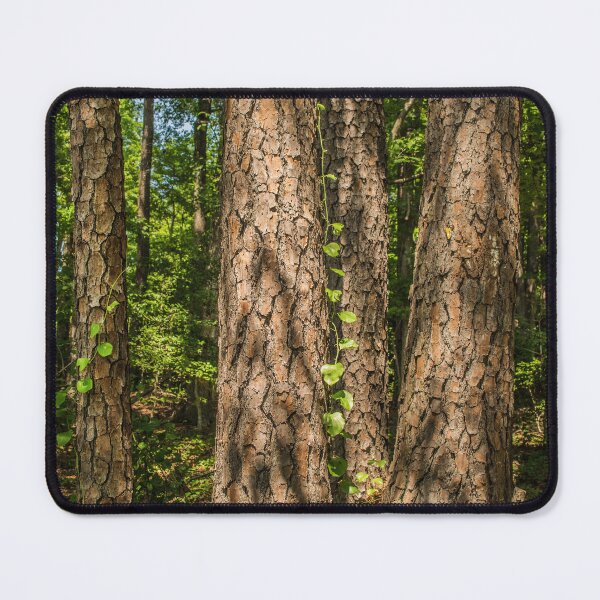 Item preview, Dappled Light designed and sold by Susan  Nixon.