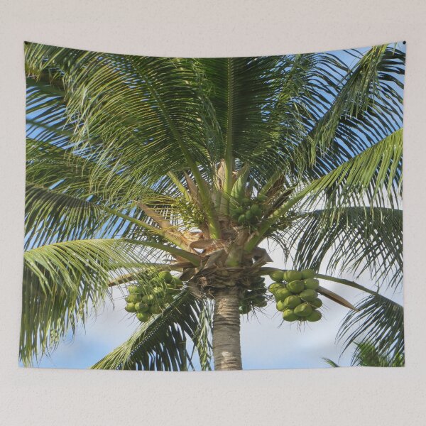 Item preview, Palm tree tropical island beach nature lovers sky green coconut trees designed and sold by BestDesign87.