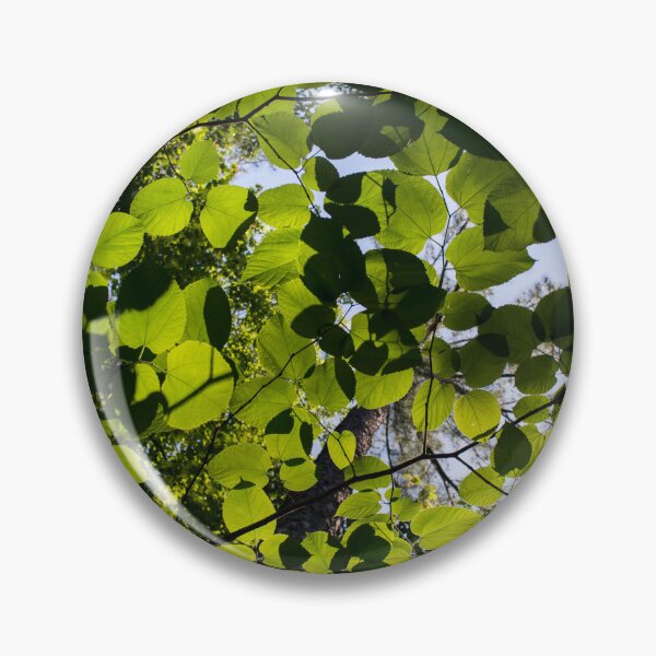 Item preview, Lightshine designed and sold by Susan  Nixon.