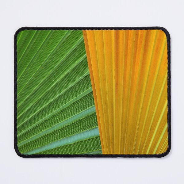 Item preview, Palm tree tropical island beach nature lovers sky green coconut trees designed and sold by BestDesign87.