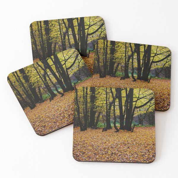 Item preview, ‘Dark Wood’ - Autumn arrives, leaves fall designed and sold by sleepingdogprod.