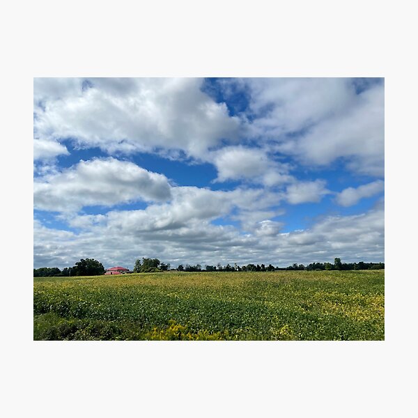 Item preview, Field of Yellow designed and sold by NaturebyAdamV.