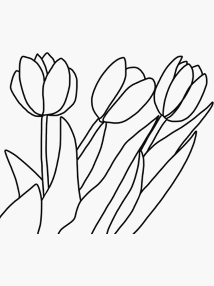 "Tulip Flower Neat line drawing Tulip pattern Floral Design Tulip