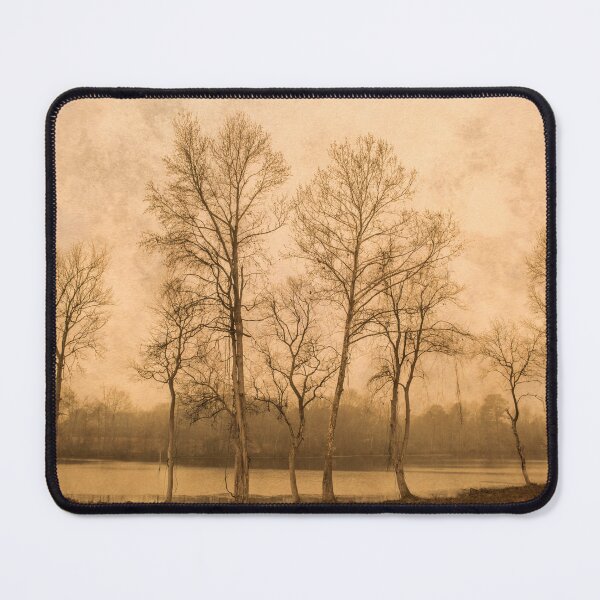 Item preview, Lakeview designed and sold by Susan  Nixon.