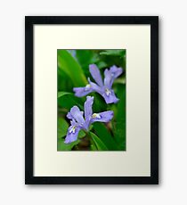 Twins Framed Print