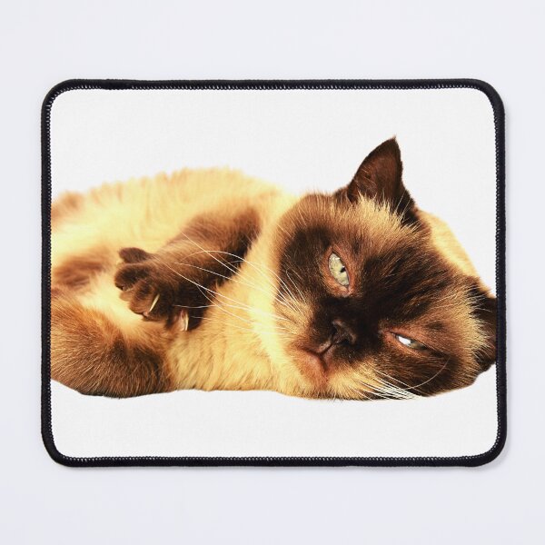 Item preview, Copy of Copy of Super Cute Sleepy Cat!  designed and sold by Surfing Designs.Life.