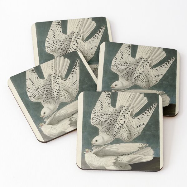 Item preview, 366 Iceland or Jer Falcon designed and sold by Bird-Lore.