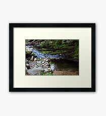 Untitled Framed Print