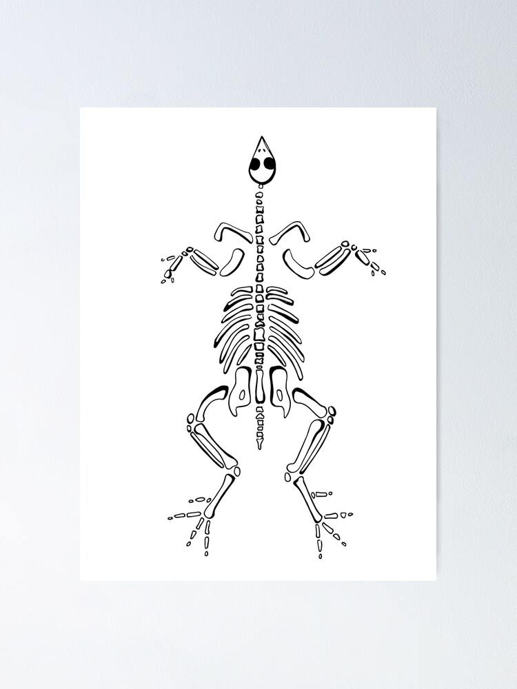Chicken Skeleton Drawing Line Art Adult Coloring Page Digital Art Chicken Skeleton Drawing Line Art Adult Coloring Page Digital Art