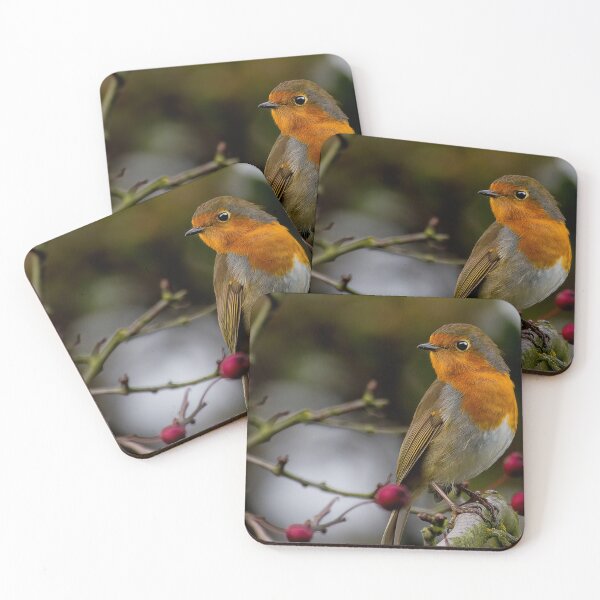 Item preview, Robin Redbreast designed and sold by Violaman.